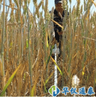 英國Delta-T Devices  SunScan專業版植物冠層分析儀