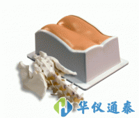 美國(guó)CIRS 034腰椎穿刺訓(xùn)練模體