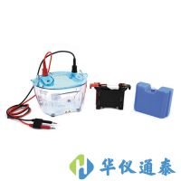 北京六一 DYCZ-40K 轉印電泳儀