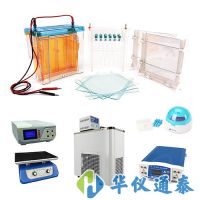 北京六一 雙向電泳系統