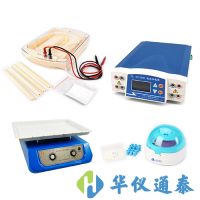 北京六一 泳強快速蛋白電泳檢測系統