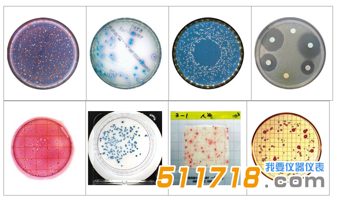 法國interscience Scan 1200自動菌落計數器1.png