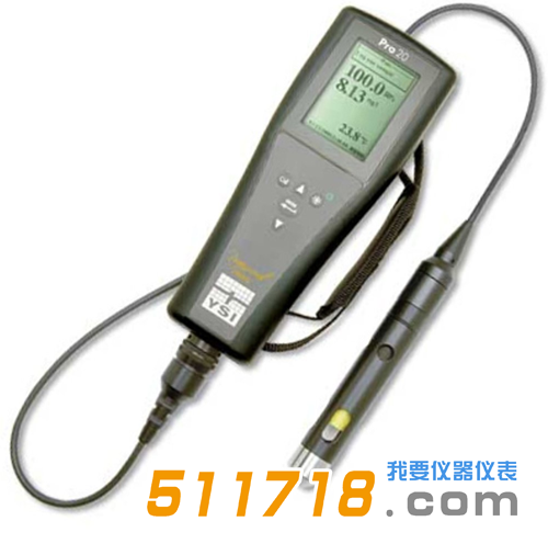 美國YSI Pro20型 溶解氧測量儀.png 美國YSI Pro20型 溶解氧測量儀.png