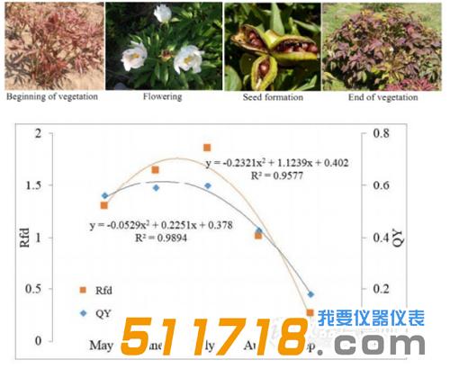 1573182291221805.png 4.png