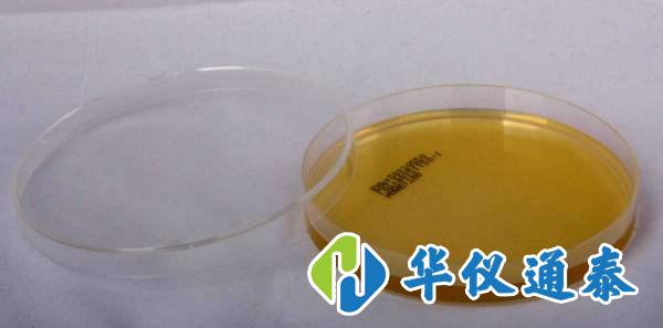 1603418821533192.jpg 浮游菌采樣.jpg