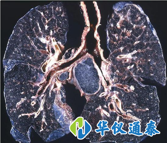 1620467706104448.png 9248c5d17363dbc04475ffe0d1825fd.png