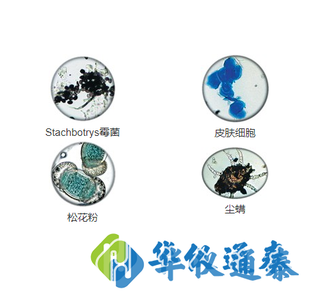 1641801268542014.png AIR-O-CELL空氣取樣盒收集顆粒物的實例.png